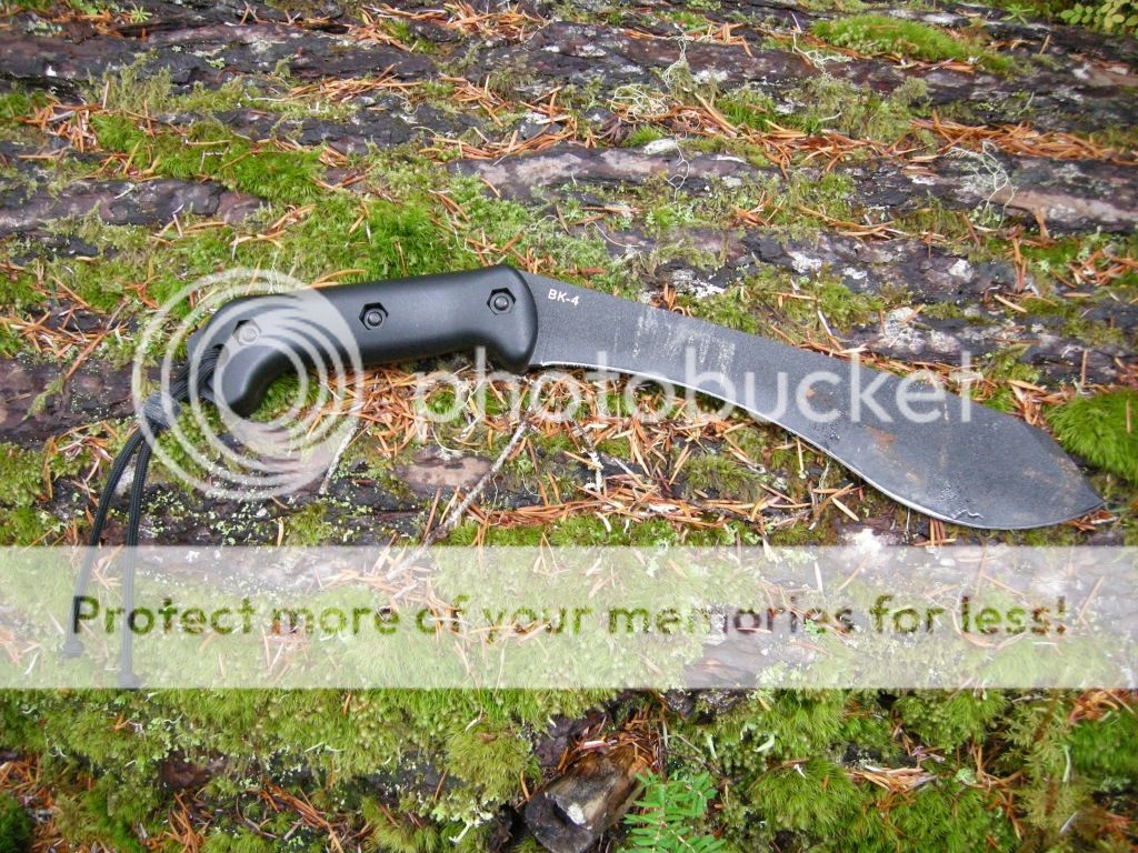DSCN2581.jpg
