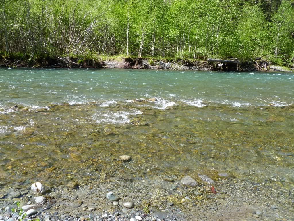 P1000247.jpg