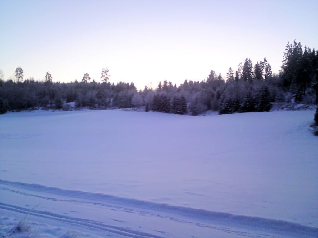 DSC00610.jpg