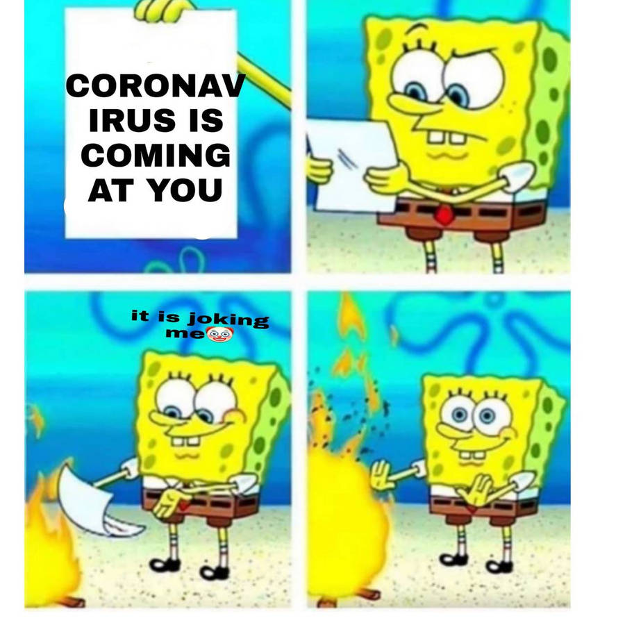 hgyez.jpg