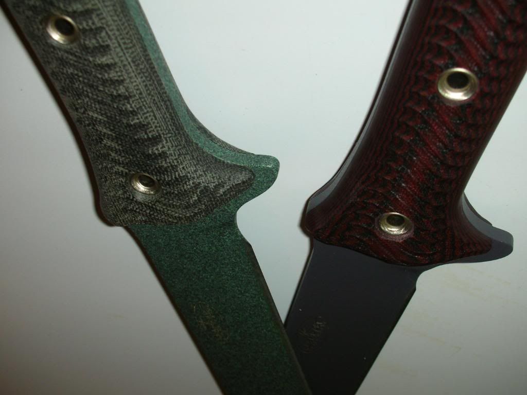 DSCN7577.jpg