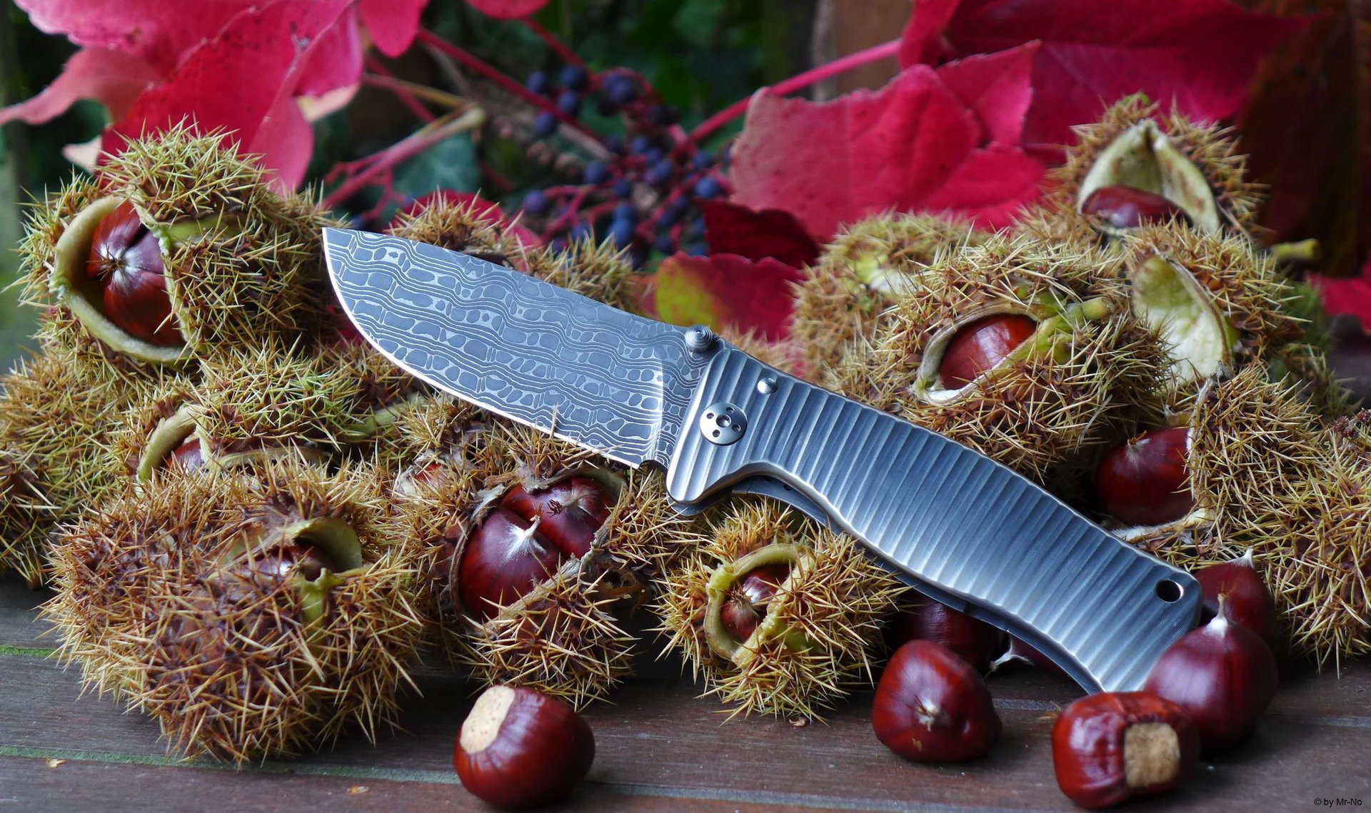 1208708d1444552190-der-messer-thread-kastan09.a.jpg