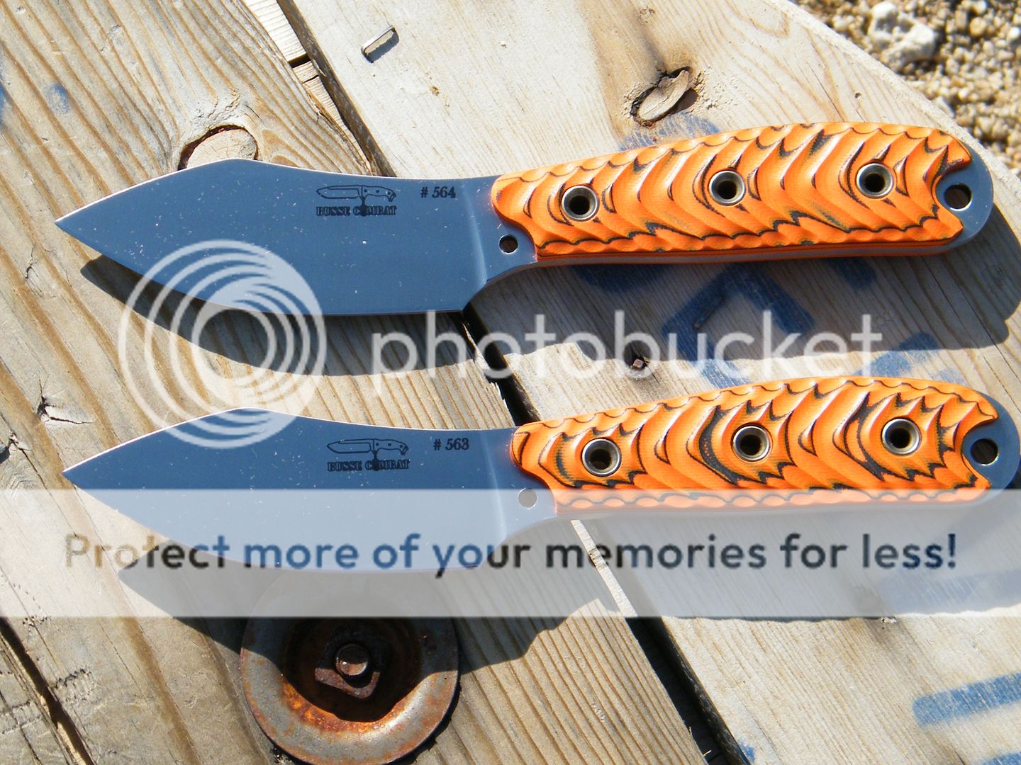 DSCF7257.jpg