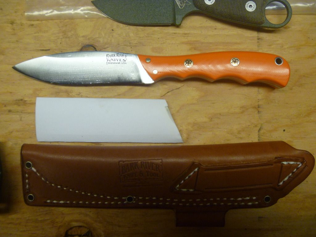 fin012.jpg