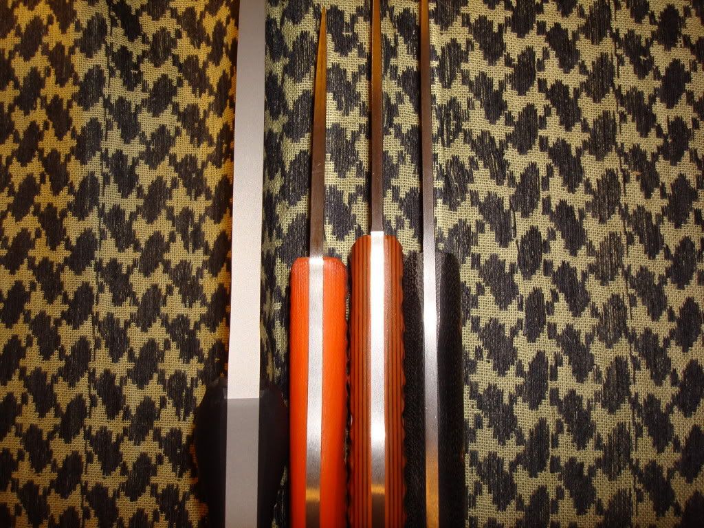 DSC03795.jpg