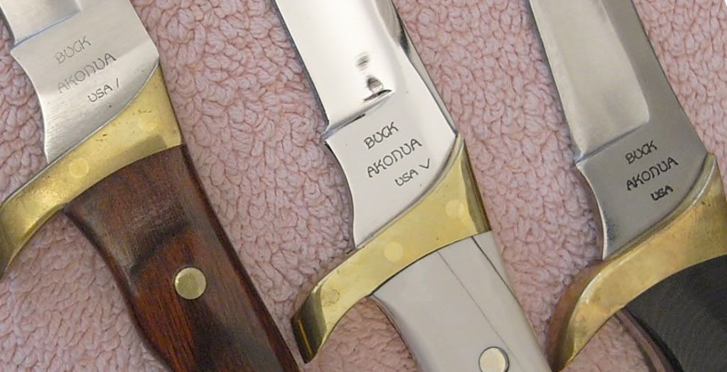 Buck402AkonuaAusschn.jpg
