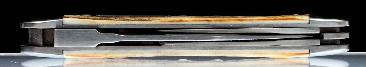 Whittler_spines.jpg~original