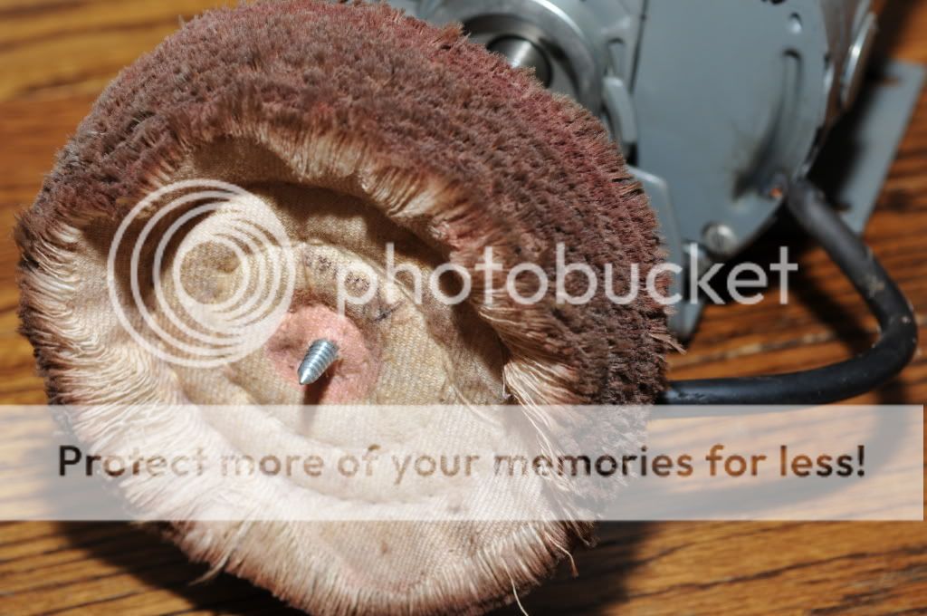 KEV_8355.jpg