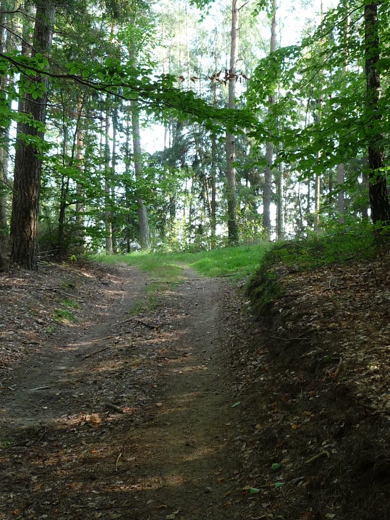 P1080036.jpg