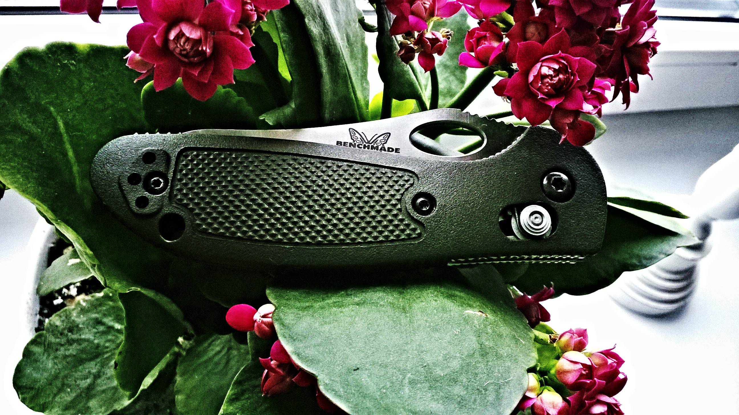 Hqx1PO5.jpg