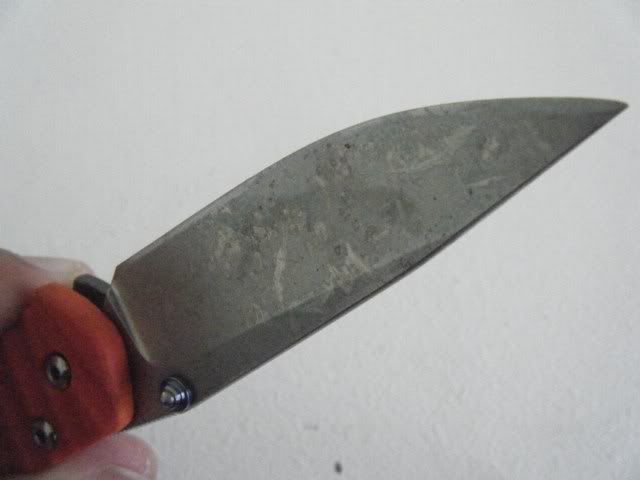 DSCF1944.jpg