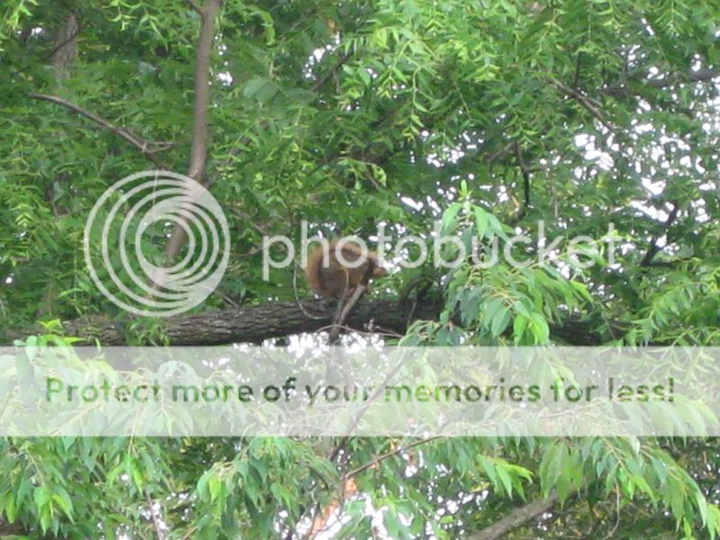 IMG_3432.jpg