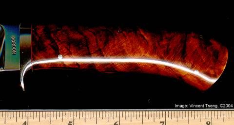 GordonCocobolo.jpg