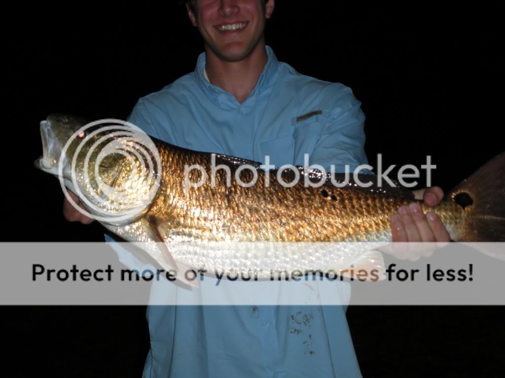 fish001.jpg