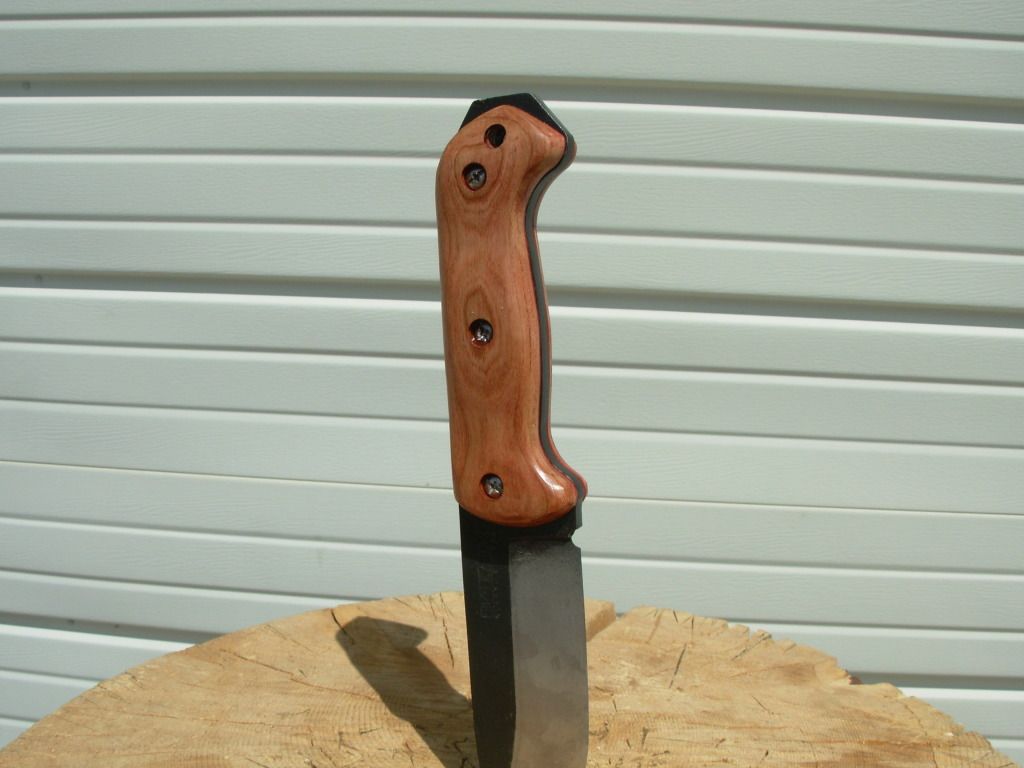 DSCN1719.jpg
