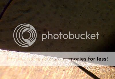 District11-20120118-00676.jpg