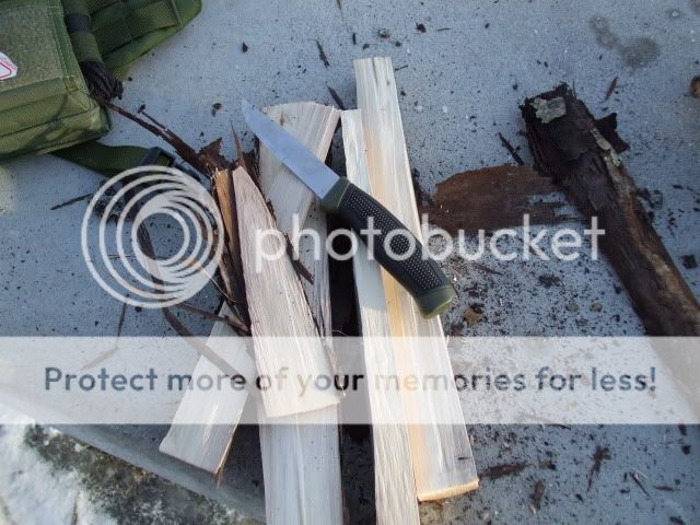 DSCF2107.jpg