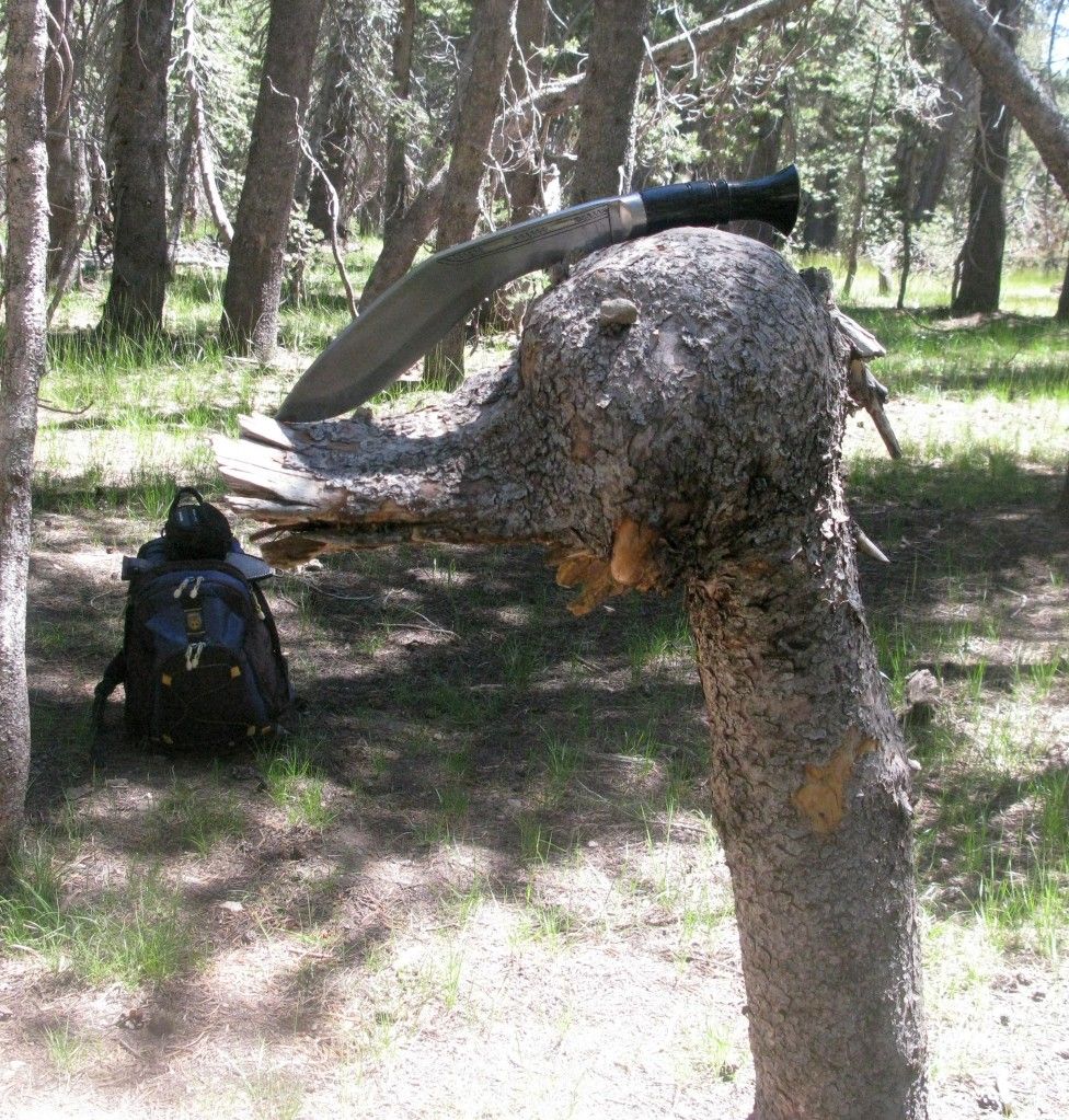 7-30-12005.jpg