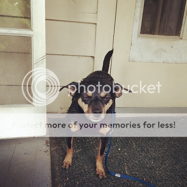 Wedonotprefer.png~original