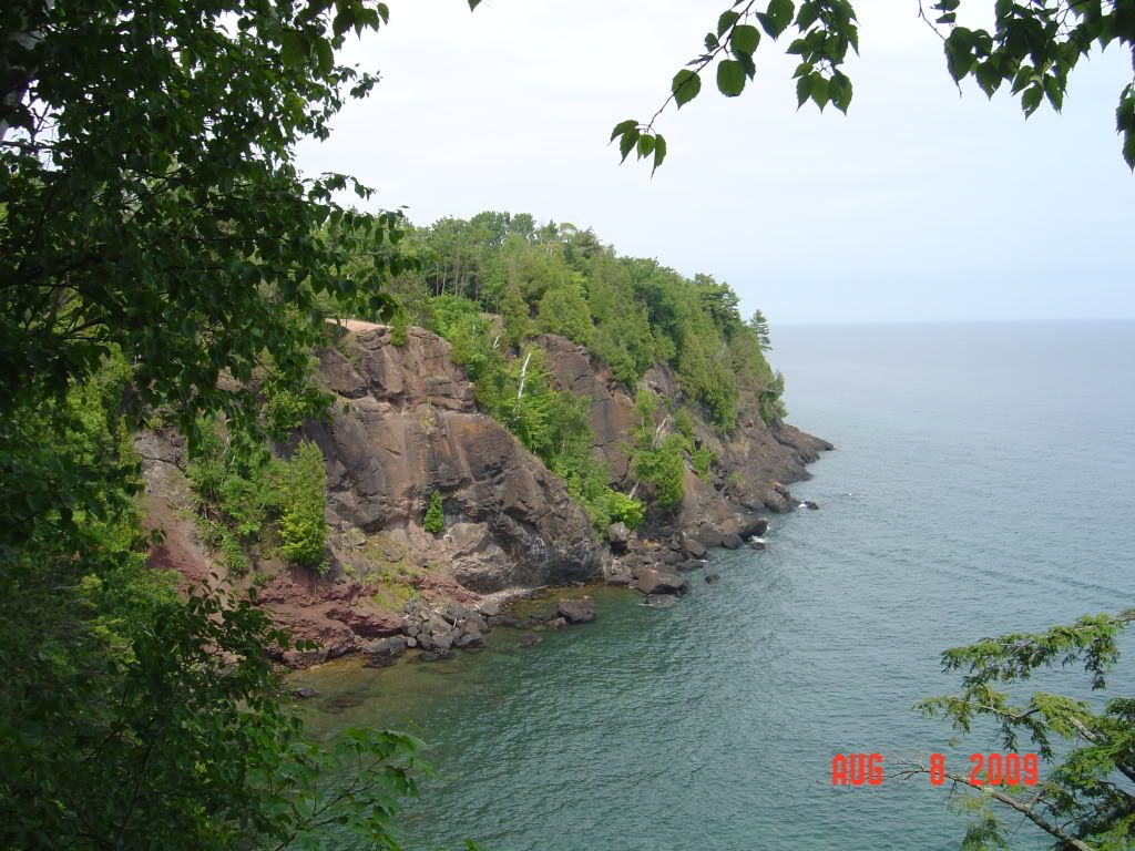 DSC01409.jpg