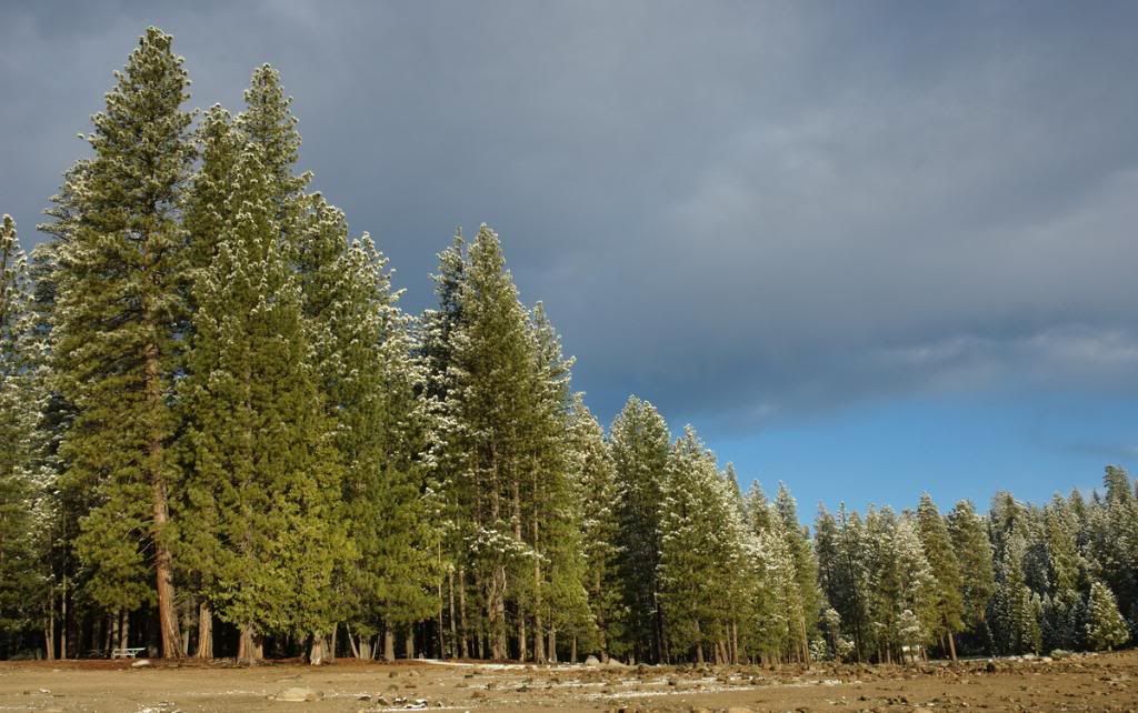 DSC_4475_resize.jpg