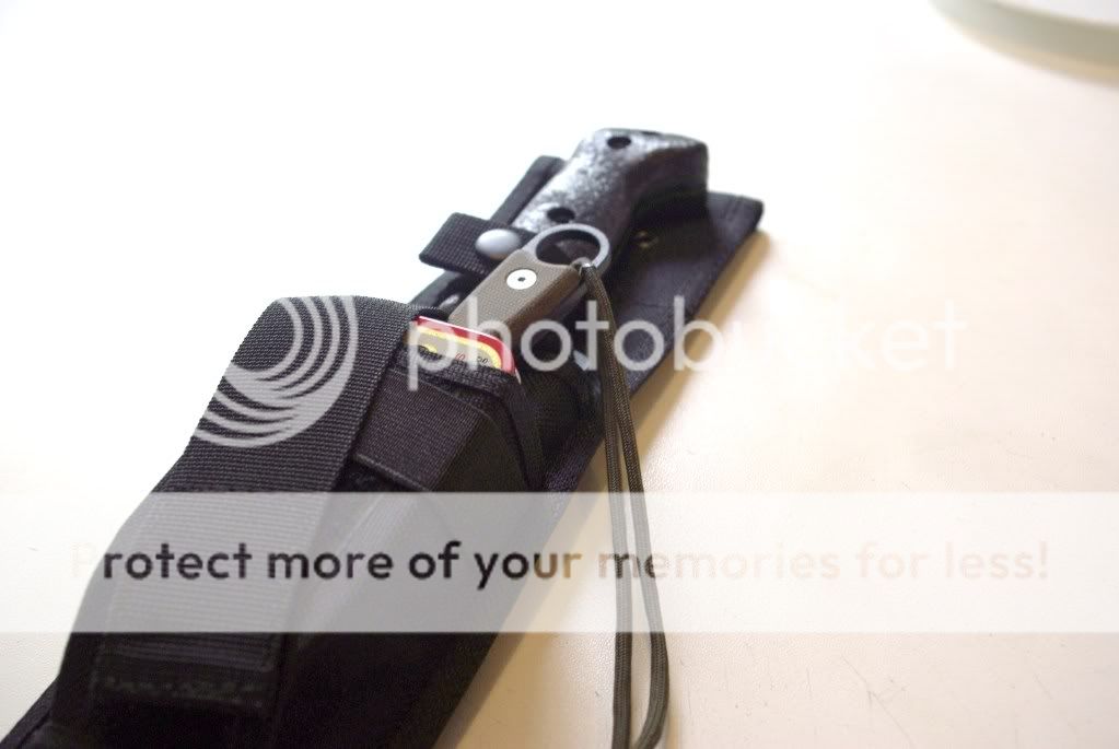 IMGP4193.jpg