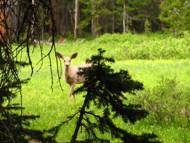 IMG_5747.jpg