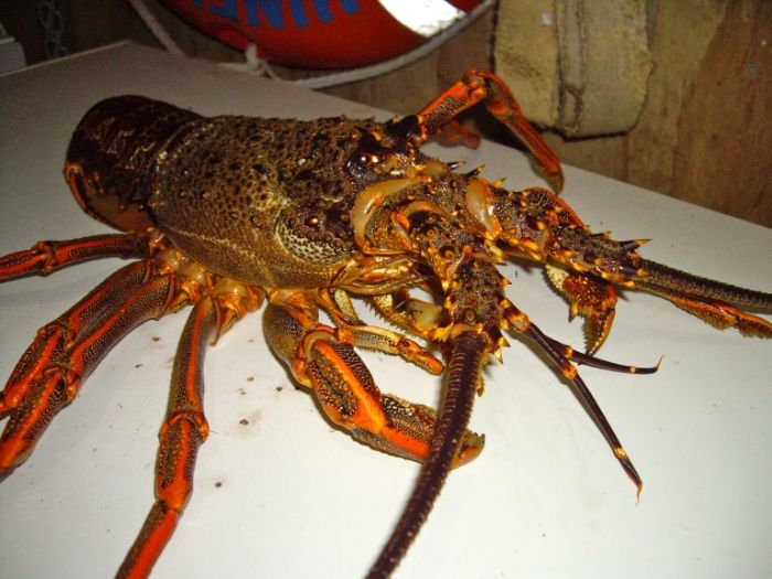 IMGP6269_zpsc73aa4d9.jpg