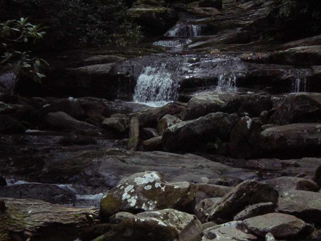 pictures249.jpg