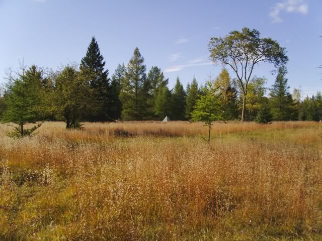 PICT0099.jpg