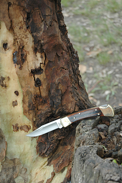 110_spotted_gum.jpg