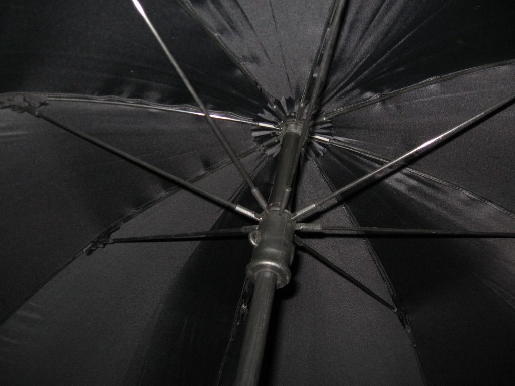 IMG_7420.jpg