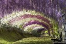 top-10-unbelievable-places-3-135x90.jpg
