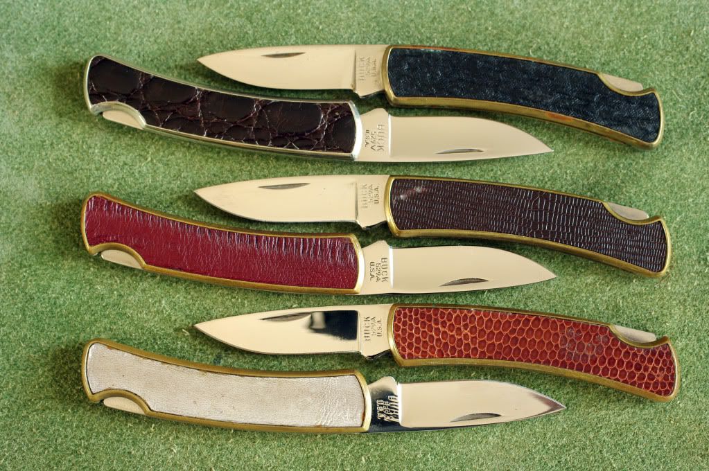 Buck529allesechs.jpg