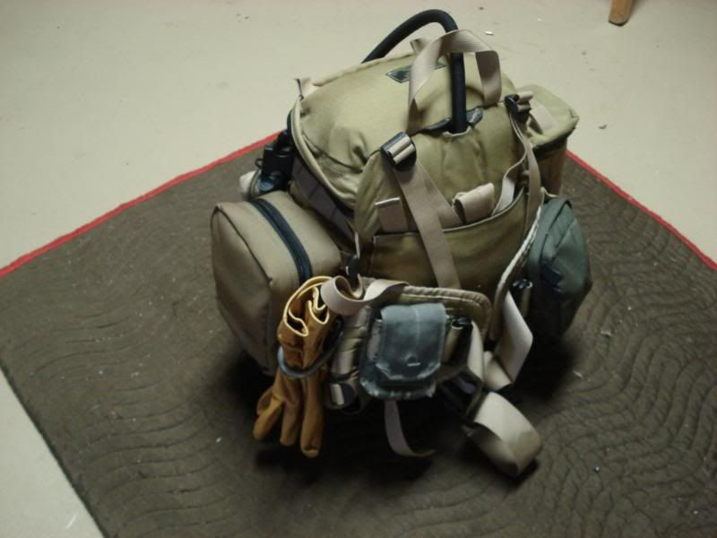 JungleScout-6.jpg