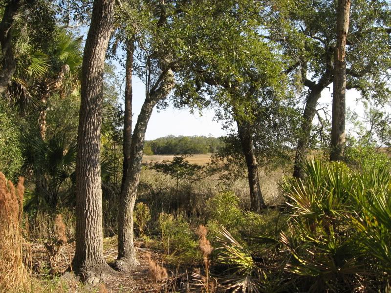 WalkDec302010003.jpg