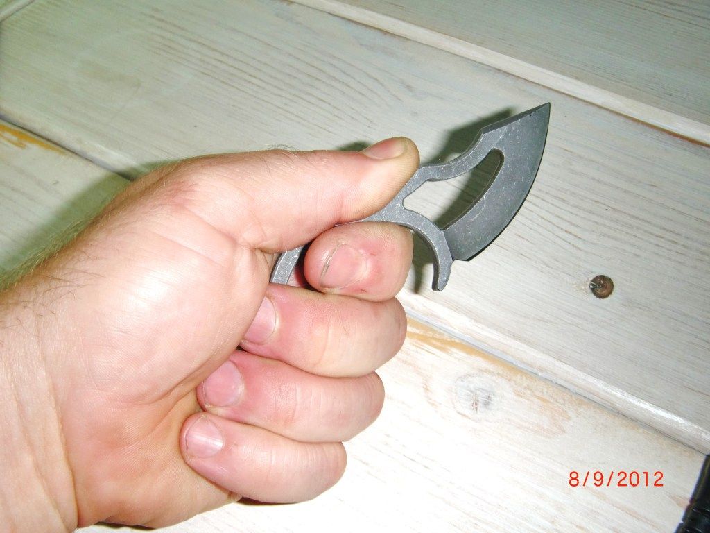 CIMG2546.jpg