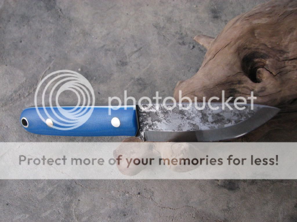 IMG_3754_zps7ef41c01.jpg