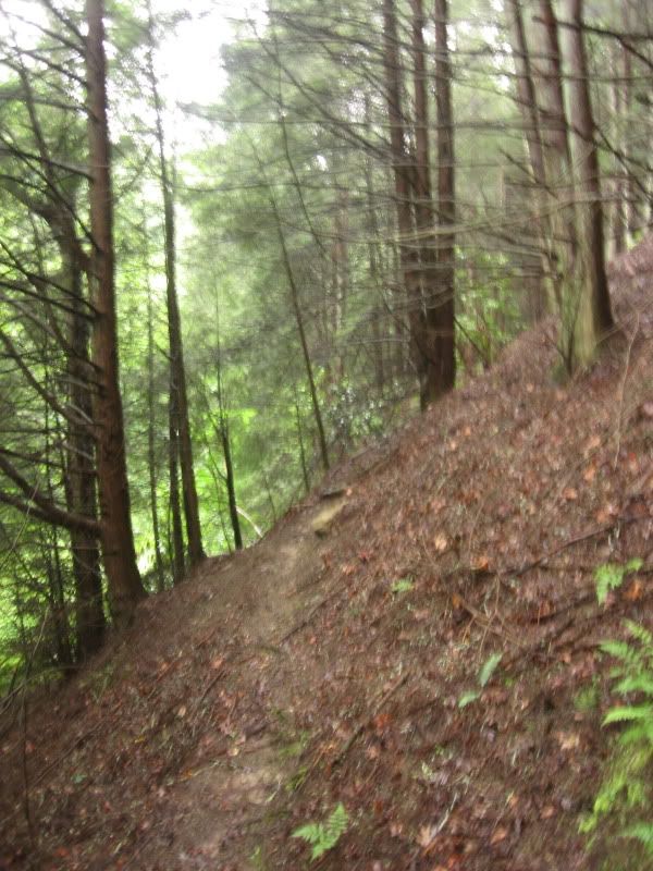 IMG_0367.jpg