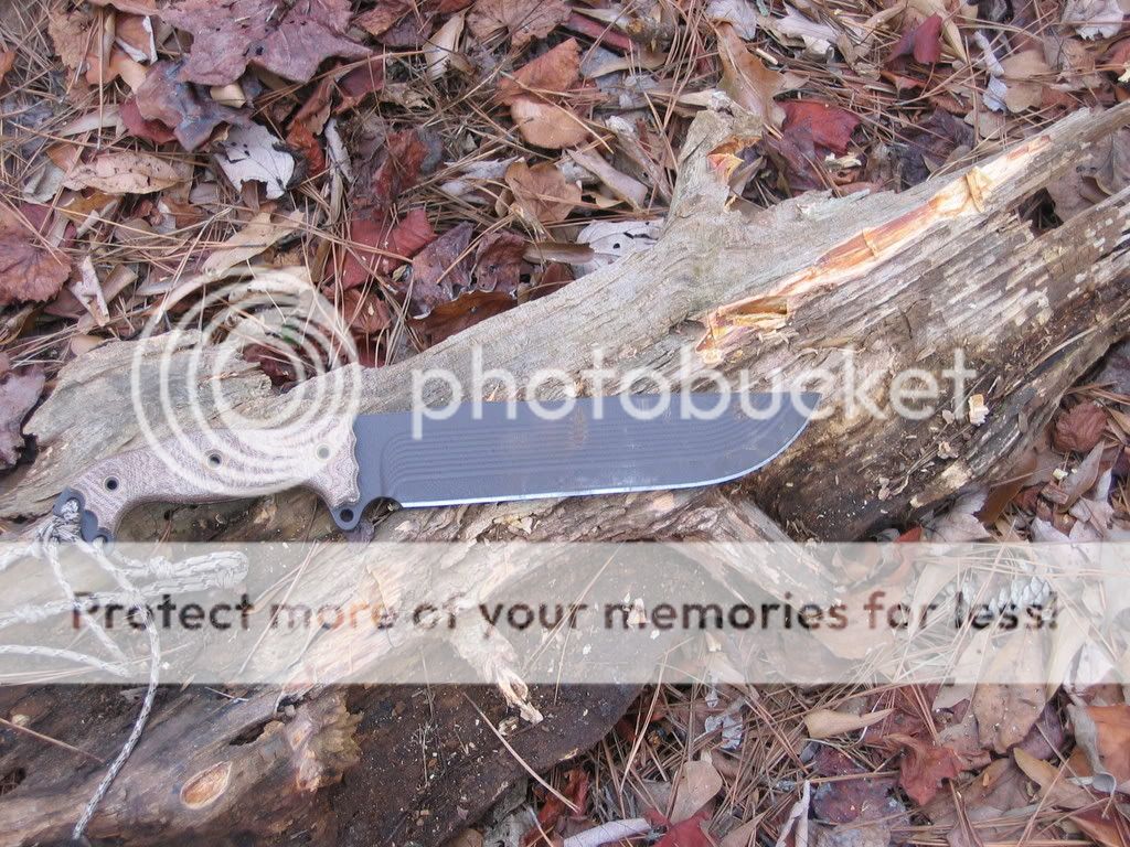 IMG_4942.jpg