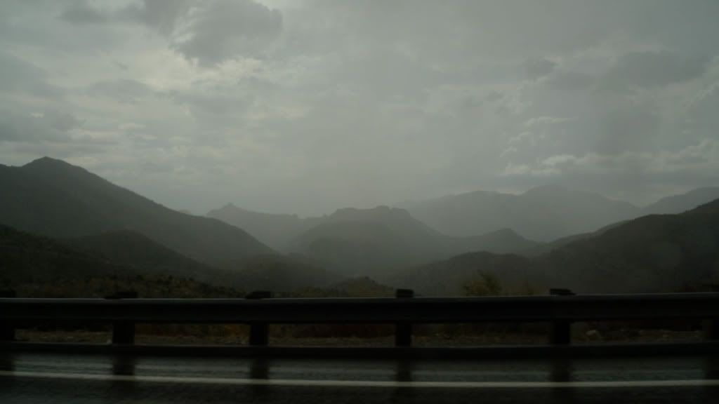 P1100411.jpg