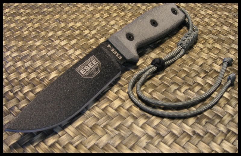 ESEE-4.jpg