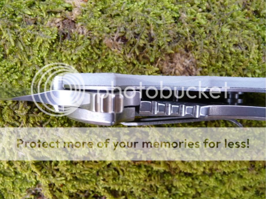 ECCKS010.jpg