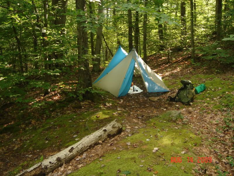 BFT090814033.jpg