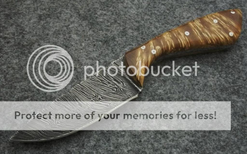 009-12.jpg