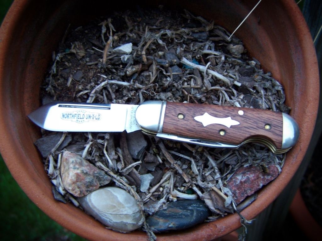 GEC25_jobillo_02.jpg