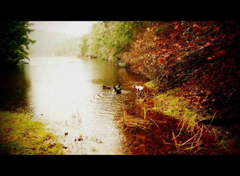 TodInletFall2012012.jpg