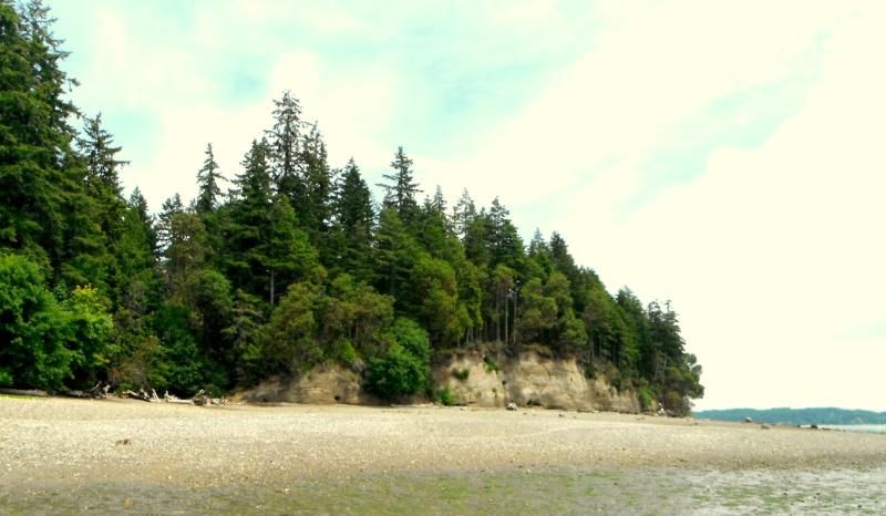 DSCF0455.jpg