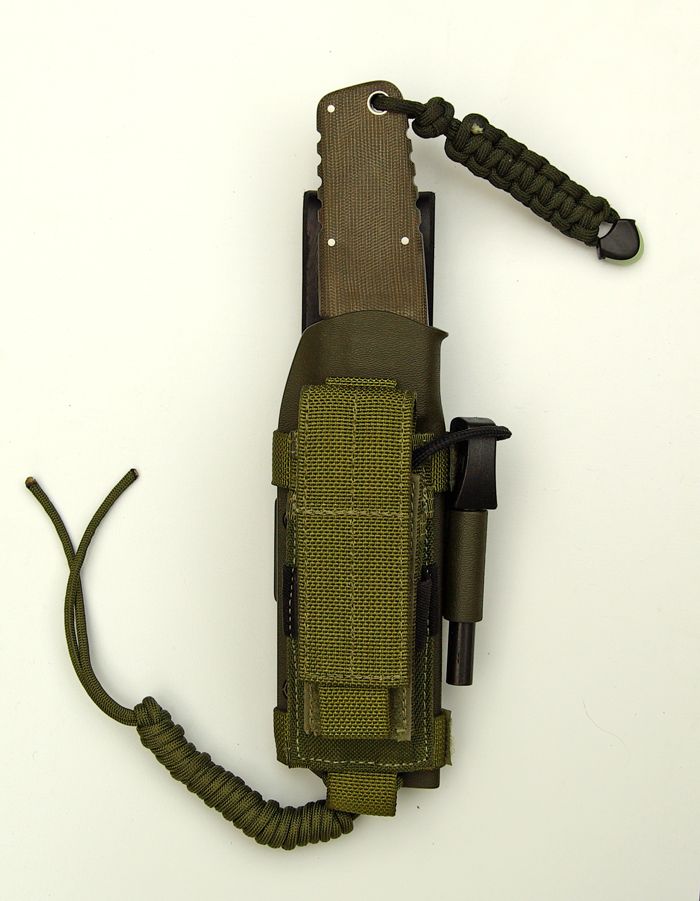 BearCubGrizzlyTechnicalKydexShea-2.jpg