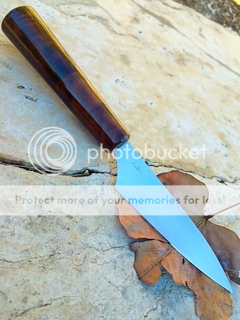 IMG_0542_zpsj1afupzq.jpg